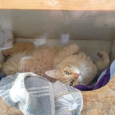 Le Voyage D'ubuntu *