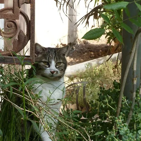 Le Voyage D'ubuntu Nyaraló Heiligenstein