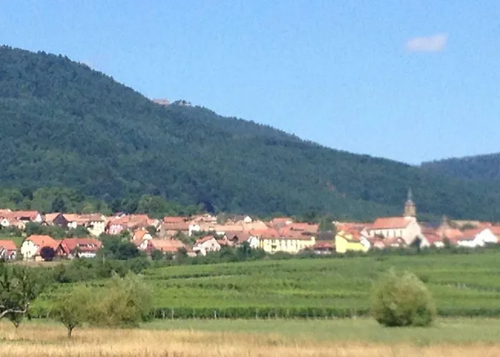 Tatil Evi Le Voyage D'ubuntu *